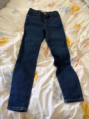 Everlane Indigo Skinny Stretch Jeans